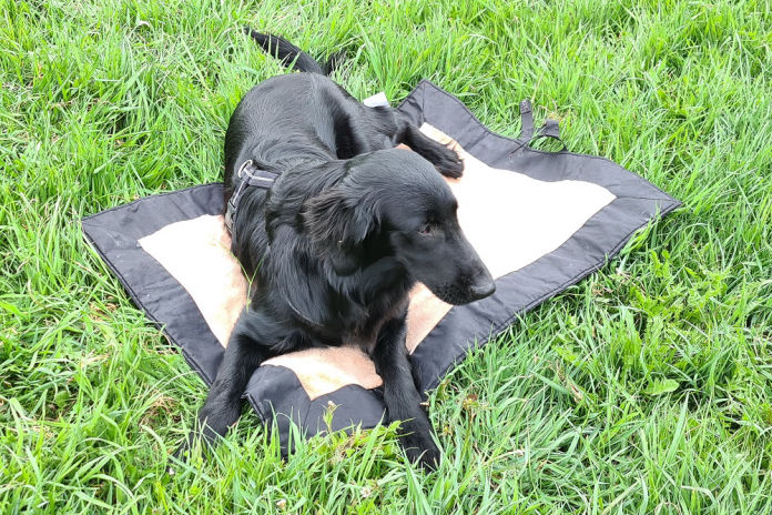 Die mobile Decke ist wie das Home-To-Go für den Hund.